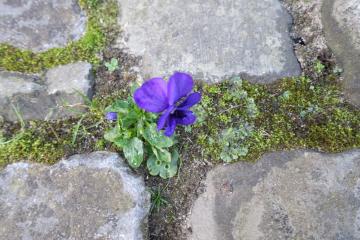 image from images/_individuele coaching.jpg